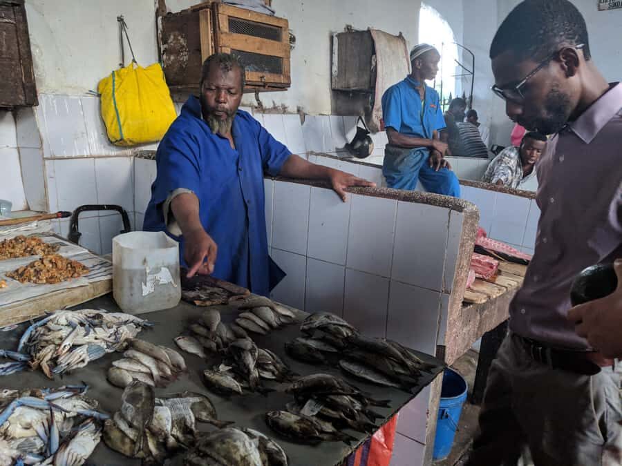 Zanzibar: Changuu Island and Stone Town Tour with Lunch - Price and Value: Is $78 a Good Deal?