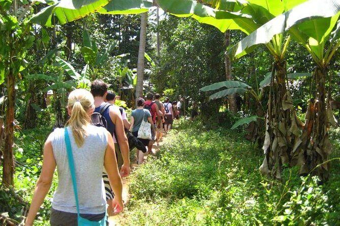 Zanzibar Cooking Class & Spice Tour - The Spice Farm Tour That Explains the Flavor Behind the Names