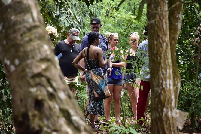 Zanzibar Cooking Class & Spice Tour - Should You Book This Zanzibar Cooking Class & Spice Tour?