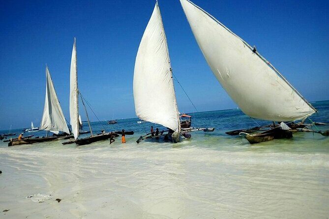 Zanzibar Full Day Mnemba Island, Nungwi and Kendwa Beach Tour - Quick Take: What Makes This Tour Work