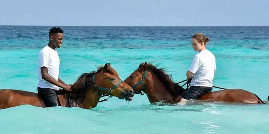 Zanzibar Horseback Riding - Key Highlights That Make This Ride Worth It