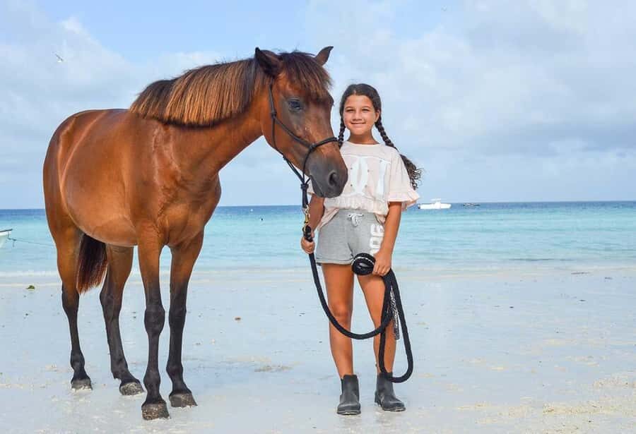 Zanzibar Horseback Riding - From Your Zanzibar Hotel to the Stable (Without Guesswork)