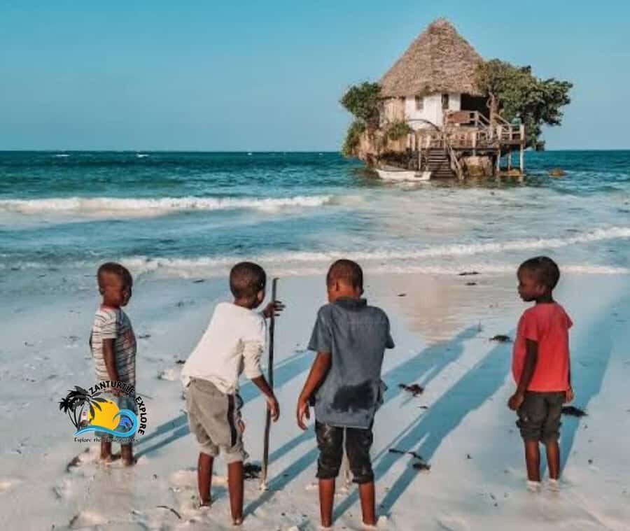 Zanzibar: Jozani Forest, Salaam Cave & The Rock Restaurant - How the hotel pickup shapes your whole Zanzibar day