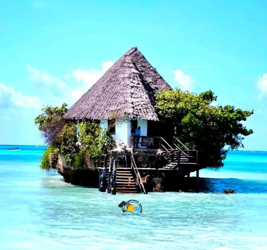 Zanzibar: Jozani Forest, Salaam Cave & The Rock Restaurant - Should you book Zanzibar Jozani Forest, Salaam Cave & The Rock Restaurant?