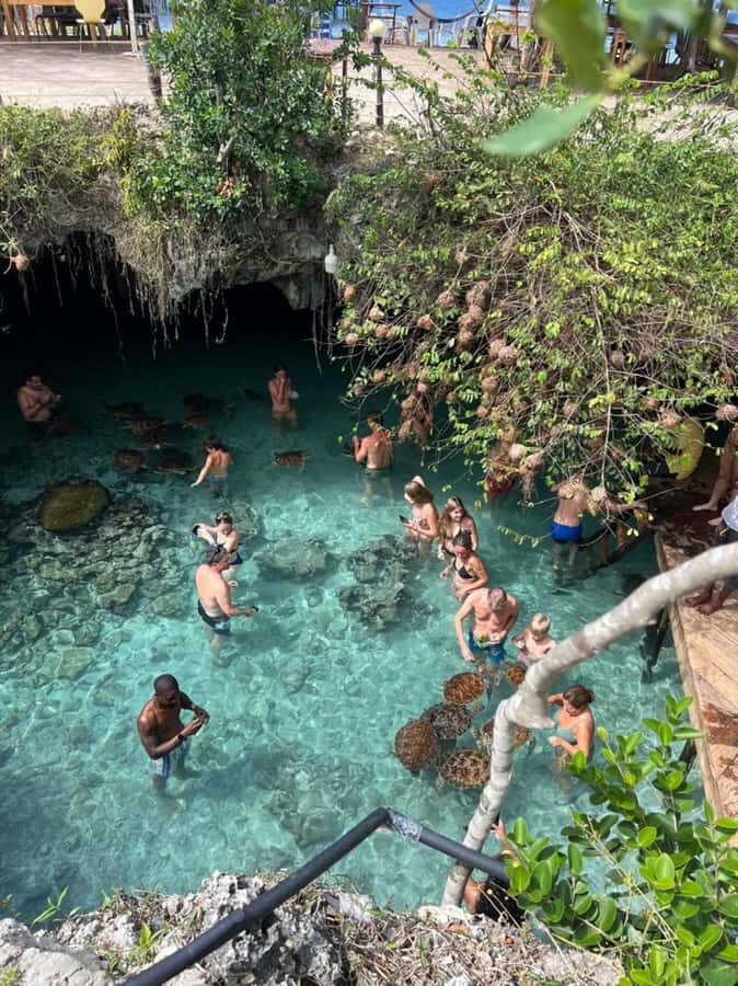 Zanzibar: Jozani Forest & Sea Tortoises Sanctuary Tour - Jozani + Salaam Cave: a half-day wildlife combo that makes sense