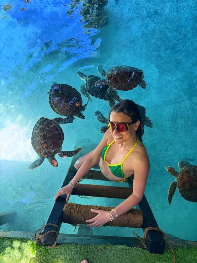 Zanzibar: Jozani Forest & Sea Tortoises Sanctuary Tour - Salaam Cave Aquarium: sea turtle conservation and up-close viewing
