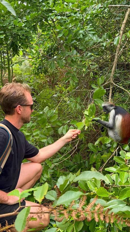 Zanzibar: Jozani Forest & Sea Tortoises Sanctuary Tour - What to pack (so you enjoy the cave, not just endure it)