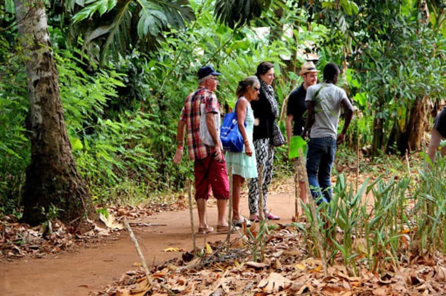 Zanzibar: Jozani forest tour & Spice farm tour with lunch - Key things to know before you go
