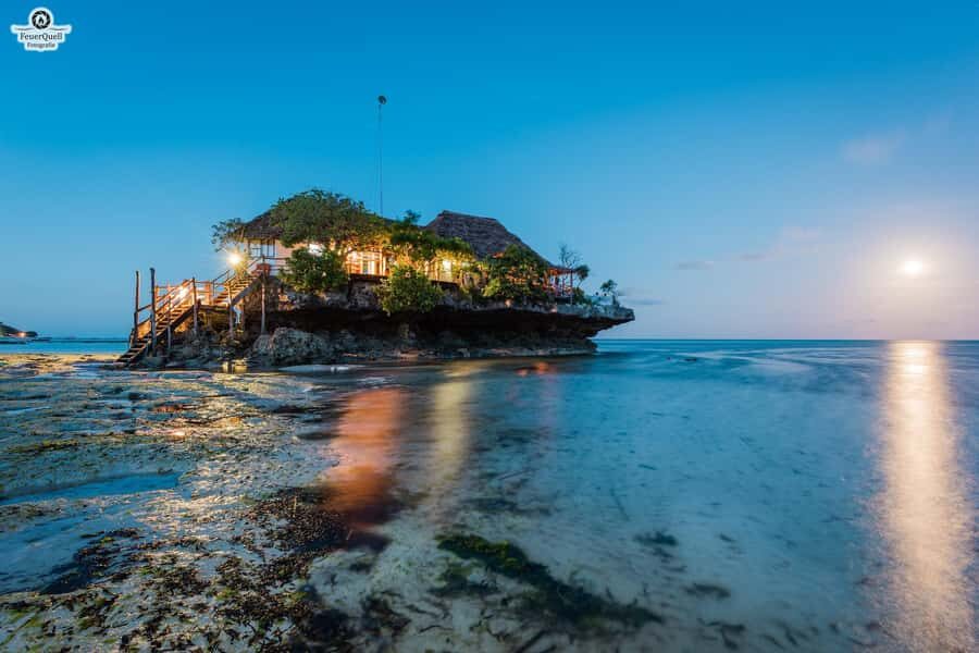 Zanzibar: Jozani Forest,Red colobus,the Rock Restaurant tour - The trade-off to plan for
