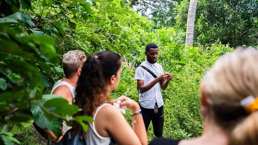 Zanzibar: Jozani Forest,Red colobus,the Rock Restaurant tour - The Rock Restaurant in Pingwe: seafood, sea views, and serious photo value
