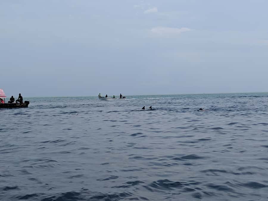 Zanzibar: Mnemba Atoll Marine Reserve Snorkeling Tour - Who this tour is best for (and who should skip it)