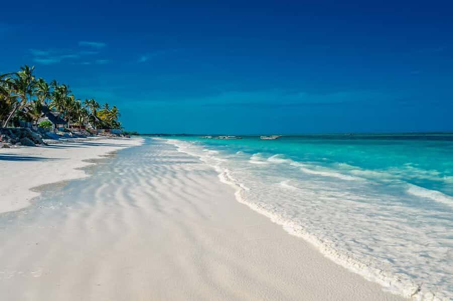 Zanzibar: Mnemba Island Atoll Guided Day Trip - Timing, guides, and the reality of private-group pacing