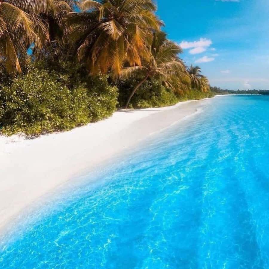 Zanzibar: Mnemba Island Atoll Guided Day Trip - Tips that make the day feel easier