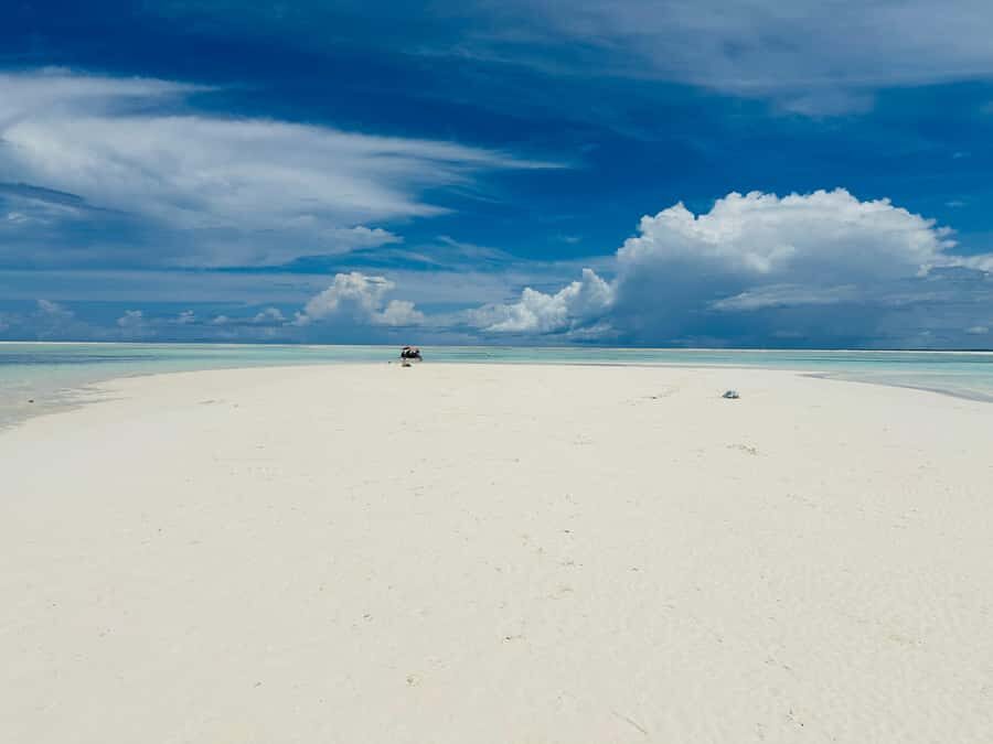 Zanzibar: Mnemba Island Dolphin and Snorkeling Tour - Who Should Book This (and Who Might Want to Think Twice)