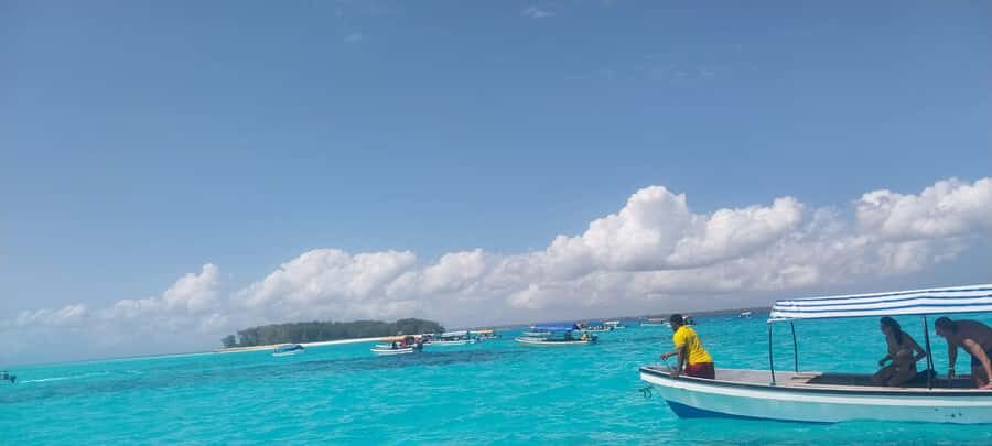 Zanzibar: Mnemba Island Dolphin and Snorkeling Tour - How to Prepare: What to Pack and What to Do Before You Go