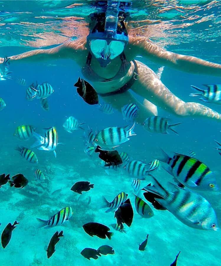 Zanzibar: Mnemba Island & Jozani Forest Tour with Turtles - Guides, Drivers, and the Human Touch