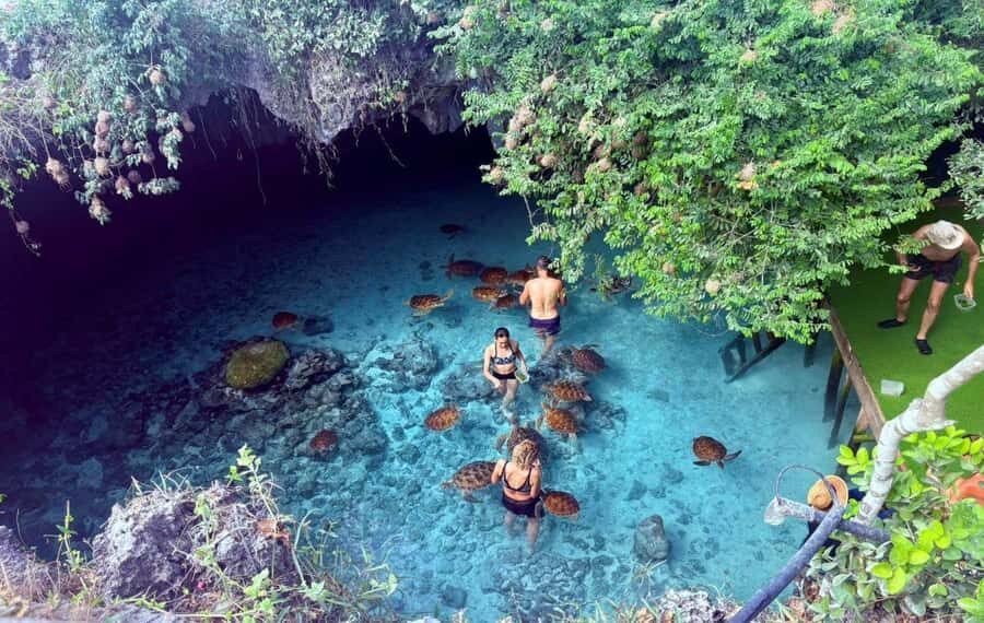 Zanzibar: Mnemba Island, Prison Island and Salaam Cave Tour - Key highlights worth your attention