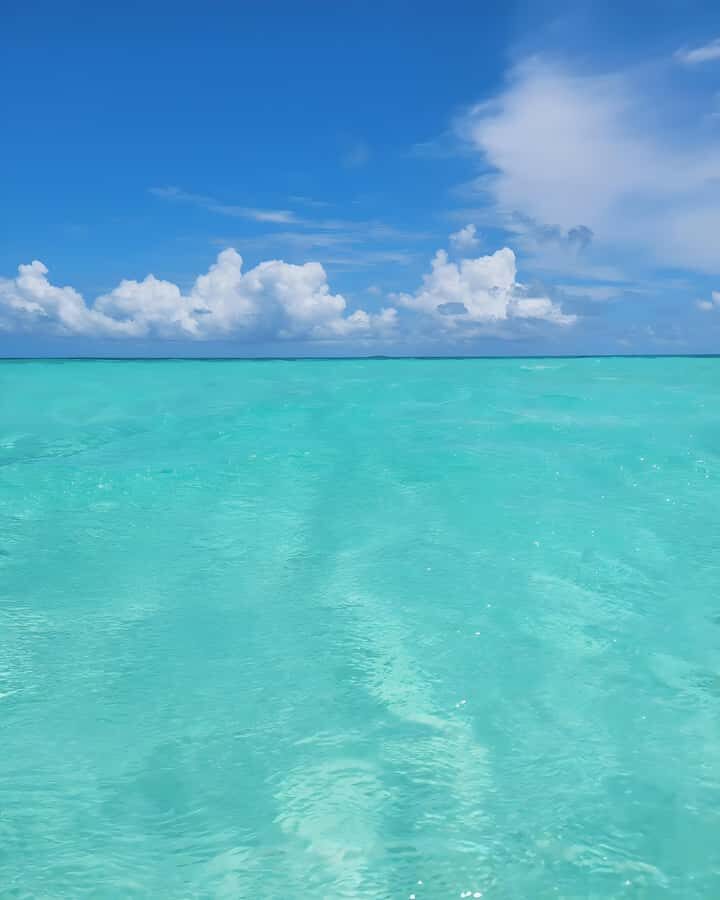 Zanzibar: Mnemba Island Snorkeling and Dolphin Tour - Seafood Lunch by the Water: What to Expect and How to Plan