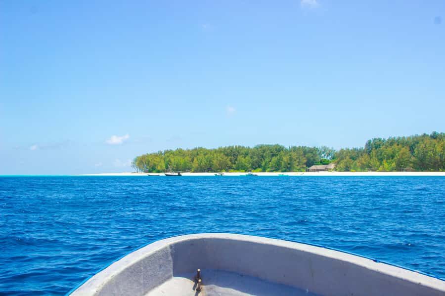 Zanzibar: Mnemba island Snorkeling & Boat Tour with Lunch - Who this tour suits best (and who should skip it)