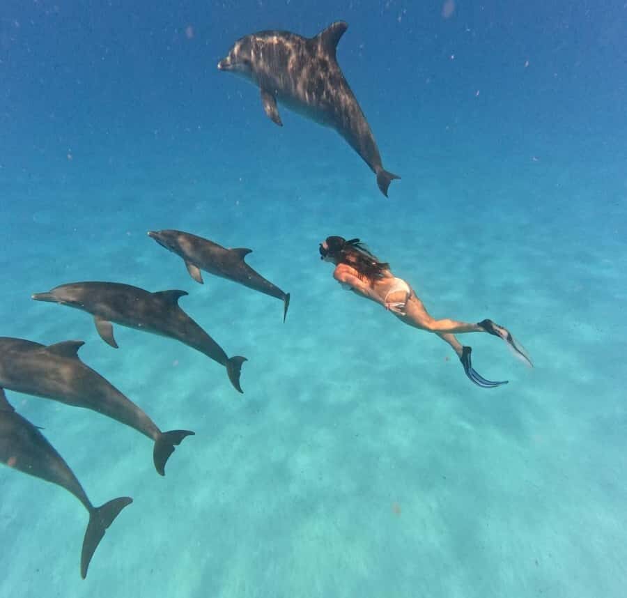Zanzibar: Mnemba Island&Dolphin Swim With Optional Lunch - Getting there: Nungwi or Muyuni, then straight to the water