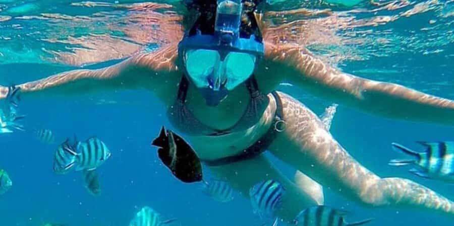 Zanzibar: Mnemba Island&Dolphin Swim With Optional Lunch - Who should book this Mnemba dolphins + snorkeling trip