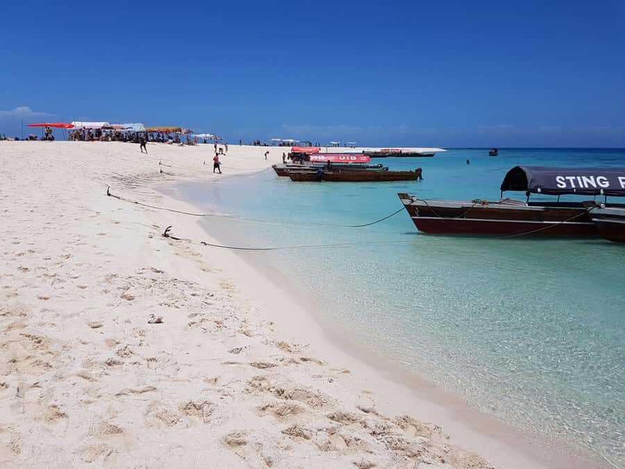 Zanzibar: Nakupenda Sandbank and Prison Island Tour & Lunch - Aldabra tortoises: the slow giants that steal the show