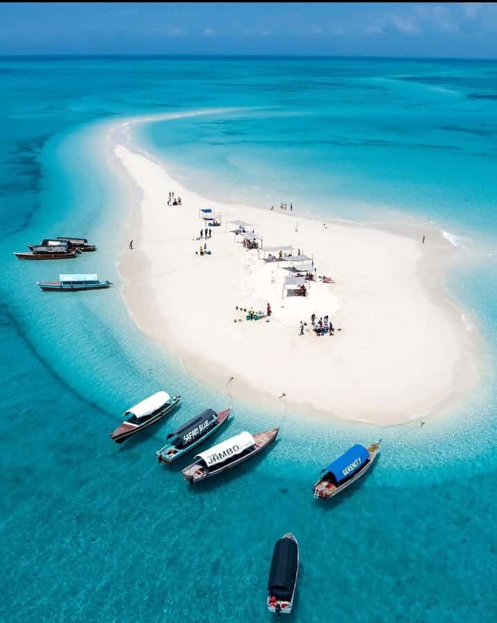 Zanzibar: Nakupenda Sandbank & Prison Island Trip with Lunch - The seafood lunch: not just food, but part of the setting