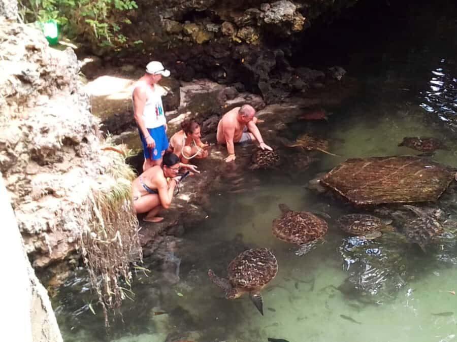 Zanzibar: North Coast and Turtle Sanctuary Tour - Key Highlights You’ll Care About
