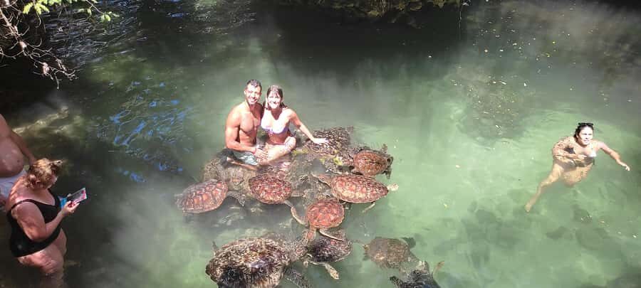 Zanzibar: North Coast and Turtle Sanctuary Tour - Why Nungwi Works for Dhow Boats and Turtles