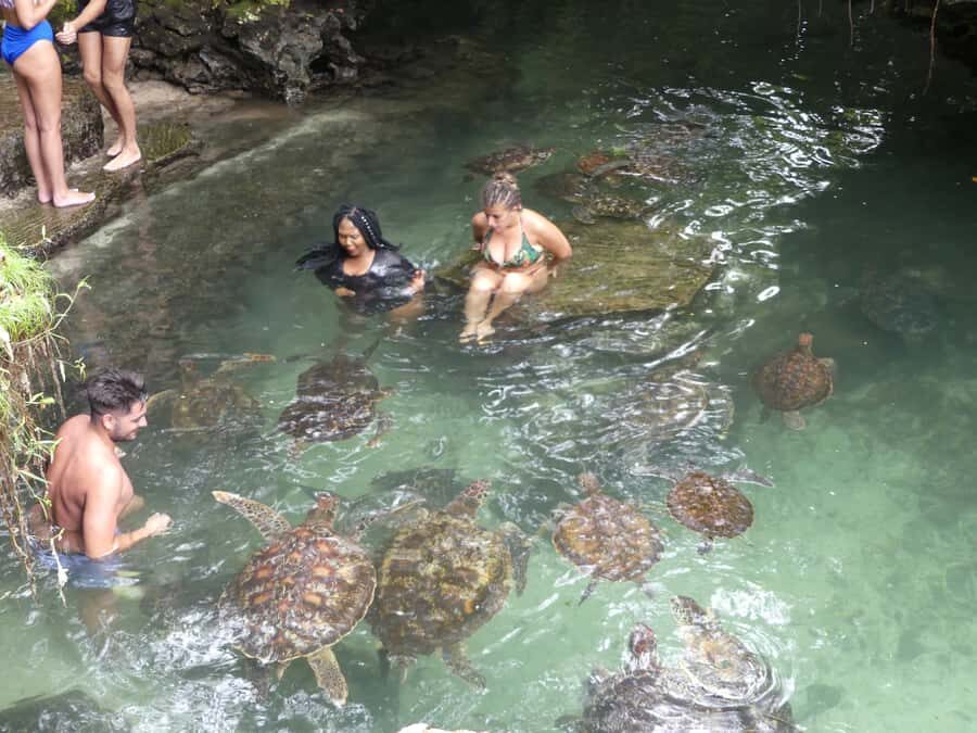 Zanzibar: North Coast and Turtle Sanctuary Tour - The Beach Stop: Low Tide Time and Easy Walkability