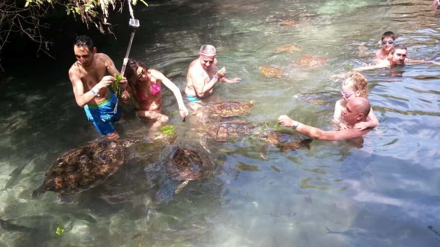 Zanzibar: North Coast and Turtle Sanctuary Tour - Lunch With One Drink: A Real Reset in the Middle