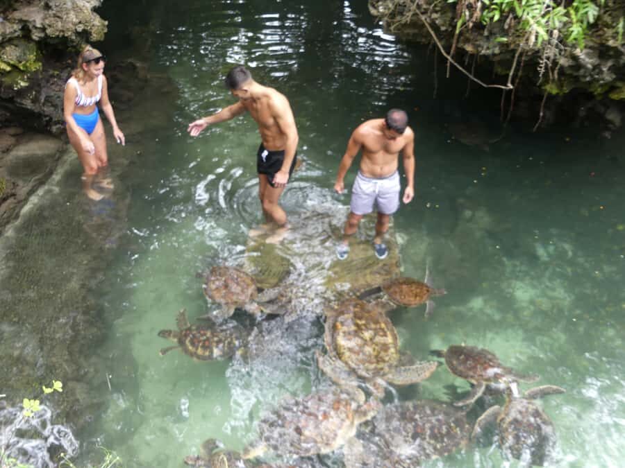 Zanzibar: North Coast and Turtle Sanctuary Tour - Who This Tour Is Best For