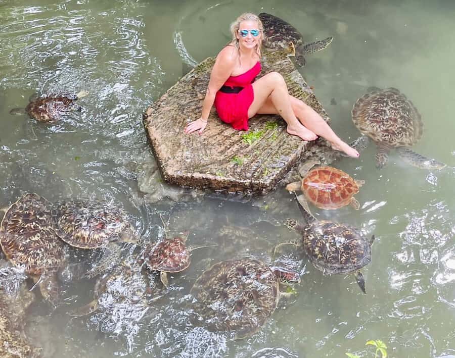Zanzibar: North Coast and Turtle Sanctuary Tour - Pickup and the North Coast Drive With Live Guidance