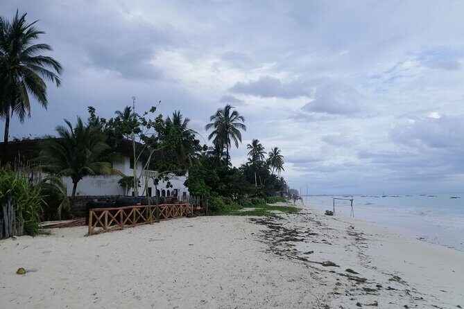 Zanzibar Prime Taxi Services - Reliability, Communication, and What to Do if Timing Changes