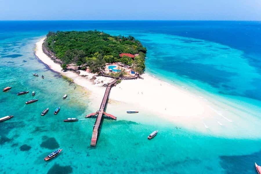 Zanzibar: Prison Island, Monkeys, and Kuza Cave Private Tour - Jozani Forest and the red colobus mission