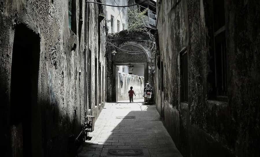 Zanzibar: Prison Island, Nakupenda, Stone Town Trip with BBQ - Who this trip suits best