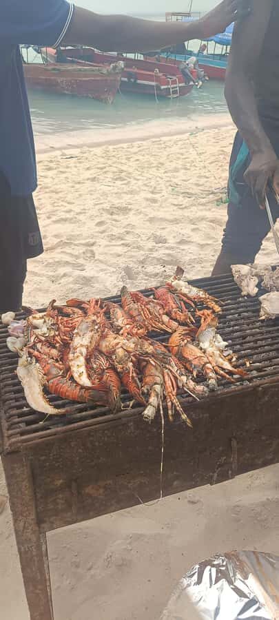 Zanzibar; Prison Island, Nakupenda, StoneTown Tour with BBQ - How the Day Flows: Boat Transfers, Timing, and Why It Feels Full