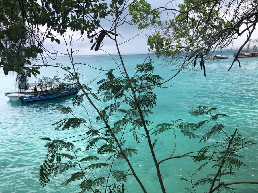 Zanzibar: Prison Island, Stone Town, & Spice Farm Tour - Practical Tips for a Smooth Zanzibar Day (and Less Sun Pain)
