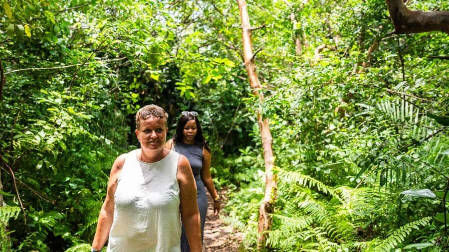 Zanzibar: Prison Island, Tortoise, Jozani Forest Guided Tour - The Mangrove Boardwalk and Turtle Sanctuary Visit