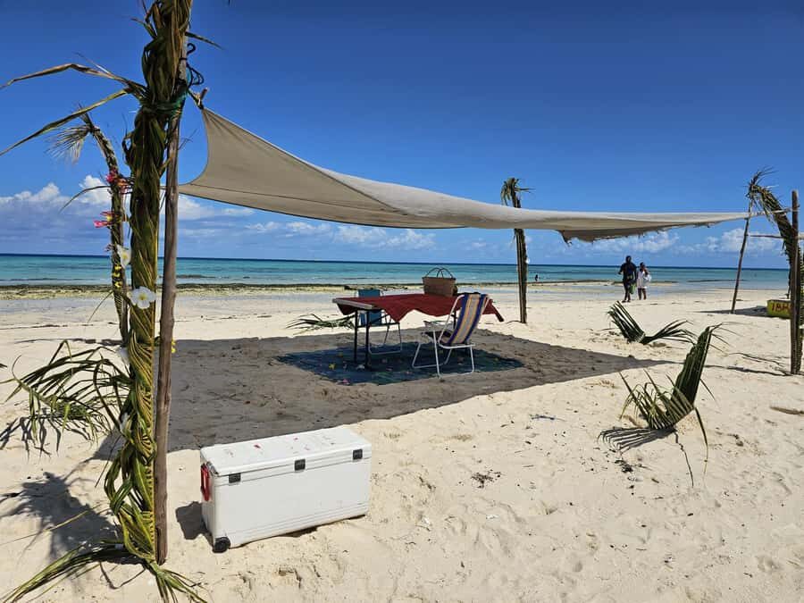 Zanzibar: Prison Island Tour with Lunch on the Sandbank - Key things I found most compelling