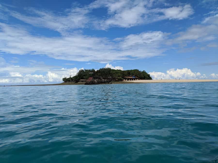 Zanzibar: Prison Island Tour with Lunch on the Sandbank - Lunch on the sandbank: seafood BBQ with Swahili sides