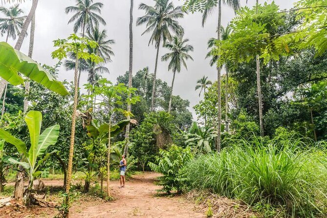 Zanzibar Private Spice Farm and Stonetown Tour(Include Lunch) - Who this tour suits best (and who should reconsider)
