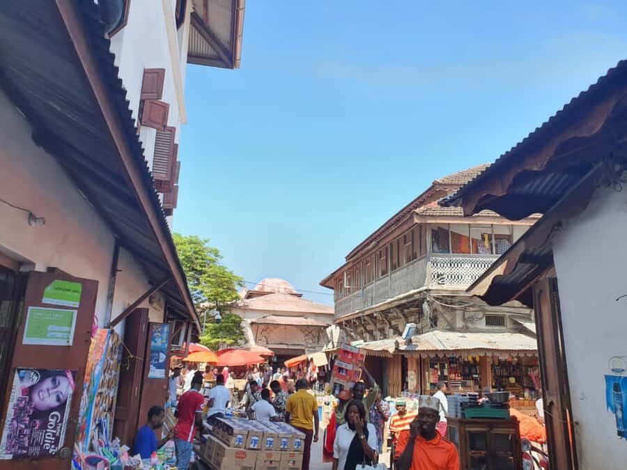 Zanzibar: Private walking tour in stone town - Stone Town on foot: why this 3-hour walk works