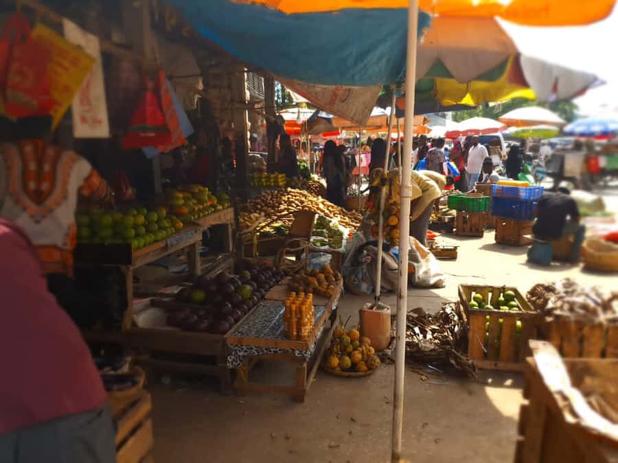Zanzibar: Private walking tour in stone town - Price and value: what $44 buys you in Stone Town