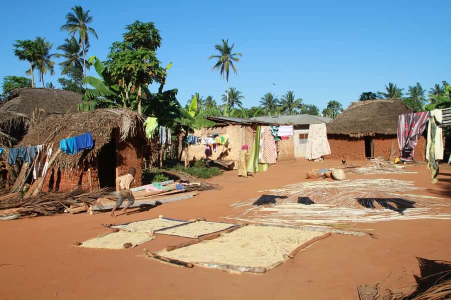 Zanzibar: Quad Bike Adventure Tour to a Local Village - Spice Plantations: Cinnamon, Cloves, and Lemon Grass Up Close