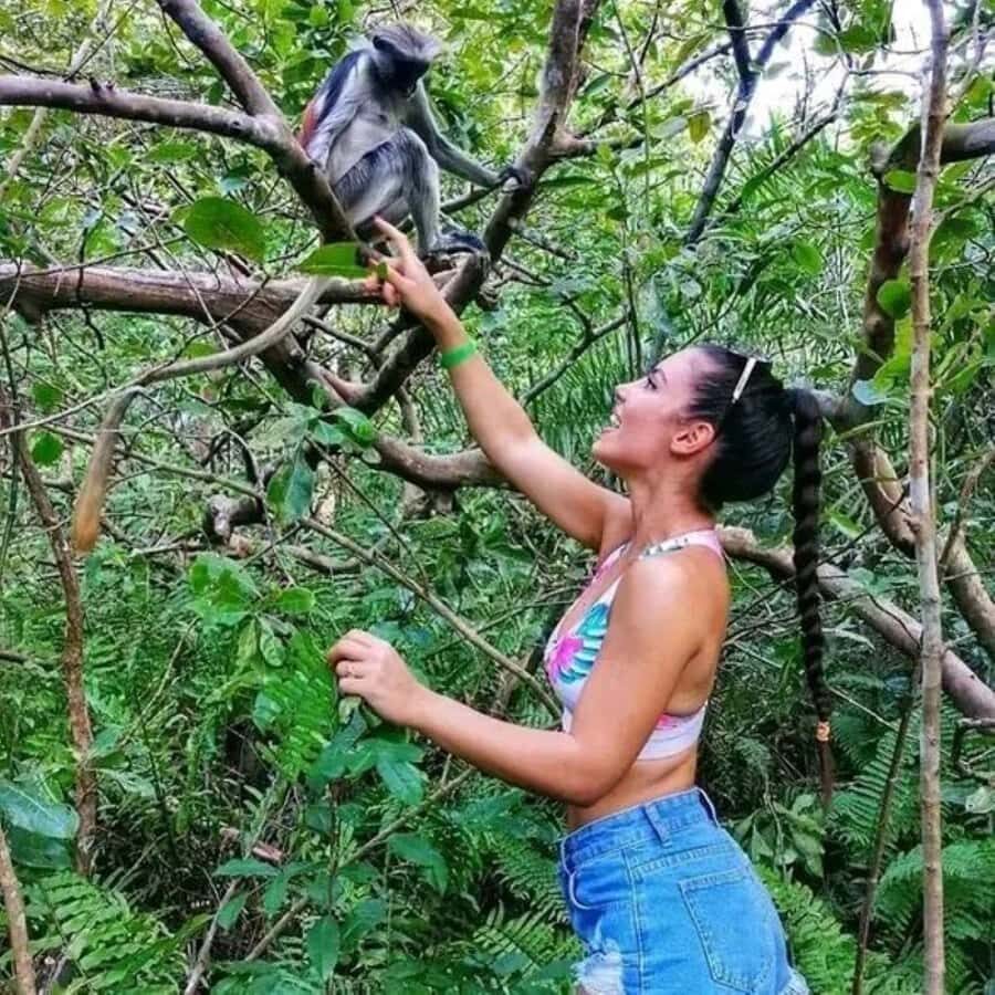 Zanzibar: Red Colobus Monkeys in Jozani Forest Guided Tour - Jozani Forest: the reason this tour exists