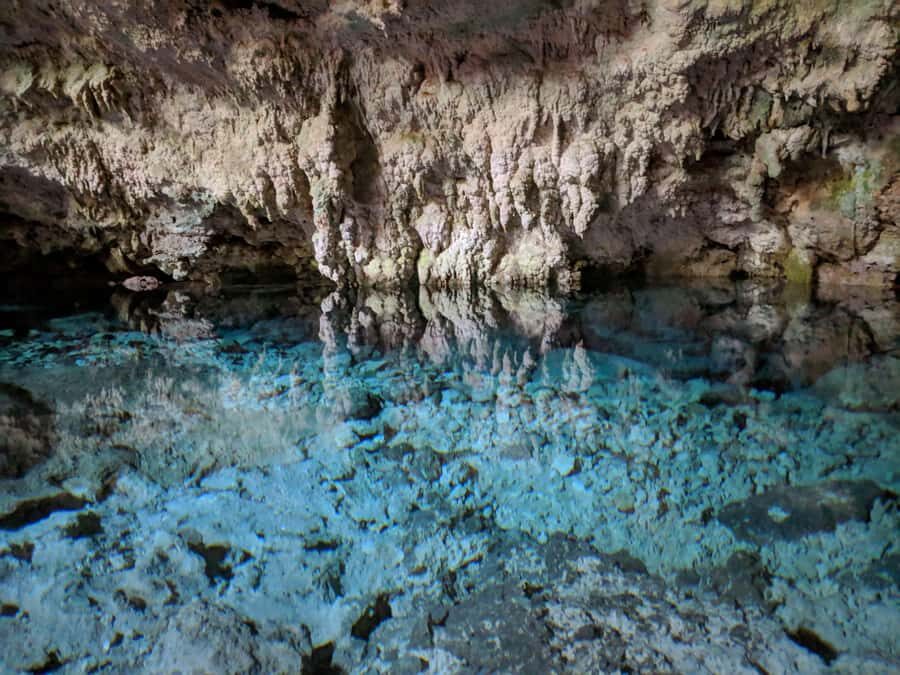 Zanzibar: Rock Restaurant and Cave Tour Visit - Time on the road: pickup at 8:00AM and why distance matters