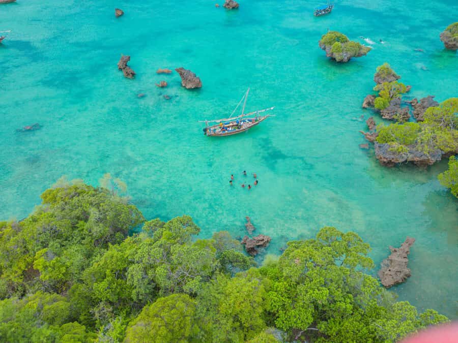 Zanzibar: Safari Blue Lagoon Trip with Snorkeling and Lunch - Timing, crowds, and the reality of transfers