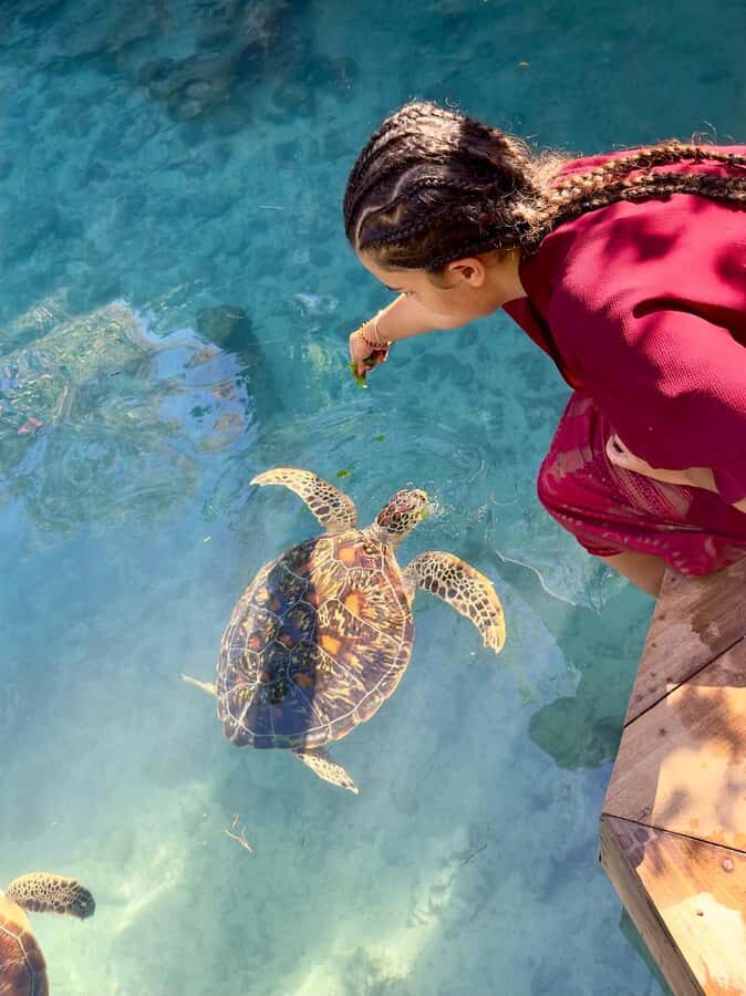 Zanzibar: Sea Turtle Swim at Kizimkazi Salaam Cave Tour - Salaam Cave in Kizimkazi: a turtle sanctuary you can actually see