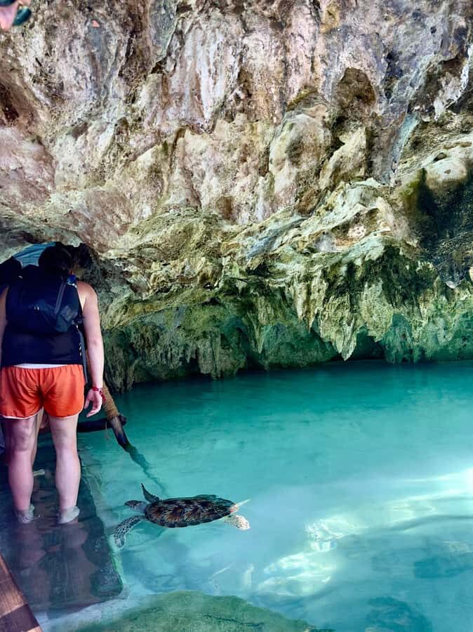 Zanzibar: Sea Turtle Swim at Kizimkazi Salaam Cave Tour - The sea turtle swim and feeding: what happens step by step